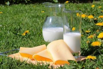 TOP 8 belangrijkste mythes over melk