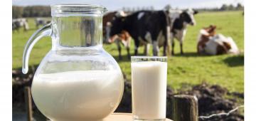 Zoals gepasteuriseerde verse melk naar huis. 3 beproefde methode