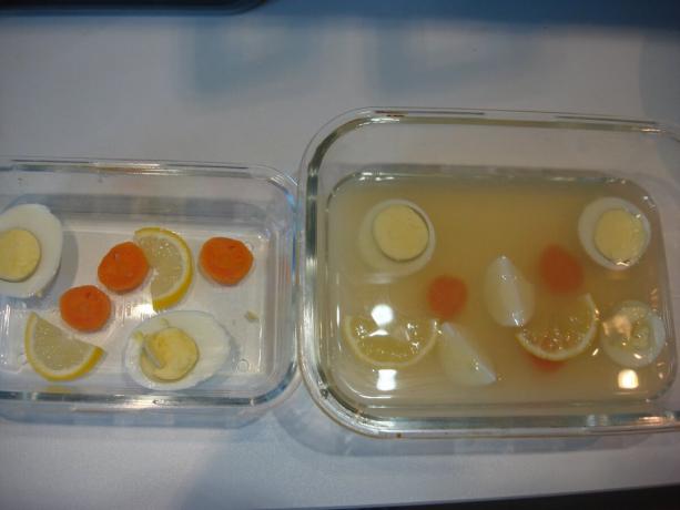 Foto gemaakt door de auteur (Geplaatst citroen, eieren en wortelen, bouillon overspoeld) 