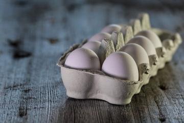 Wetenschappers hebben verteld waarom je niet veel eieren moet eten