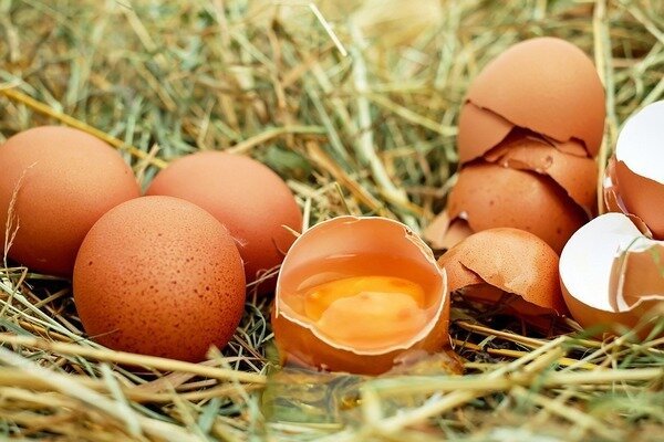 Eieren mogen niet vers worden gegeten, omdat dit de verschijning van parasieten in het lichaam bedreigt (Foto: Pixabay.com)