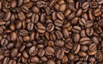 TOP 4 vreemdste koffiesoorten - wist je ervan?