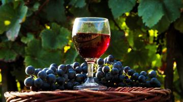 Wat goed is voor de gezondheid van rode wijn