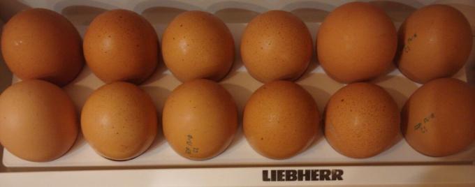 Foto gemaakt door de auteur (eieren in mijn koelkast)