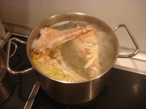 Foto gemaakt door de auteur (add vis, aardappelen, uien en wortelen in de soep)