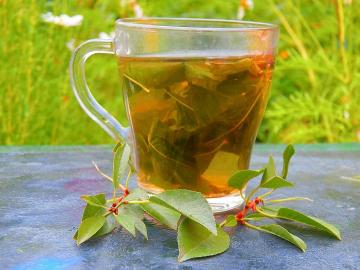 Vitamine thee uit de bladeren van de kers op de gezondheid te bevorderen
