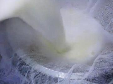 Heerlijk recept gegranuleerde cheese kefir (budgetmethode apotheek calciumchloride)