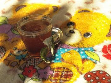 Krovorazzhizhayuschy en silopribavlyayuschy "Bear tea"