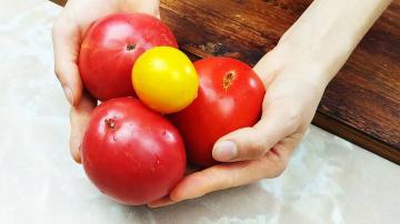 Hoe ik tomaten de hele winter bewaar zonder vriezer om ze vers van smaak en uiterlijk te houden