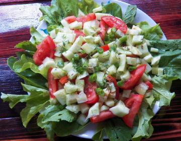 Zomerse salade met een verrassing van de kat voortenten!