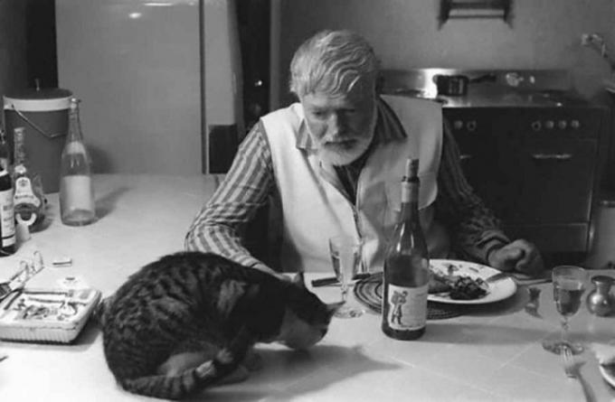 Ernest Hemingway heeft diner met de kat.